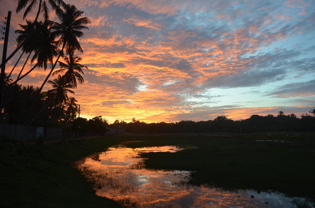 Green Parrot Beach Resort Tangalle Dış mekan fotoğraf